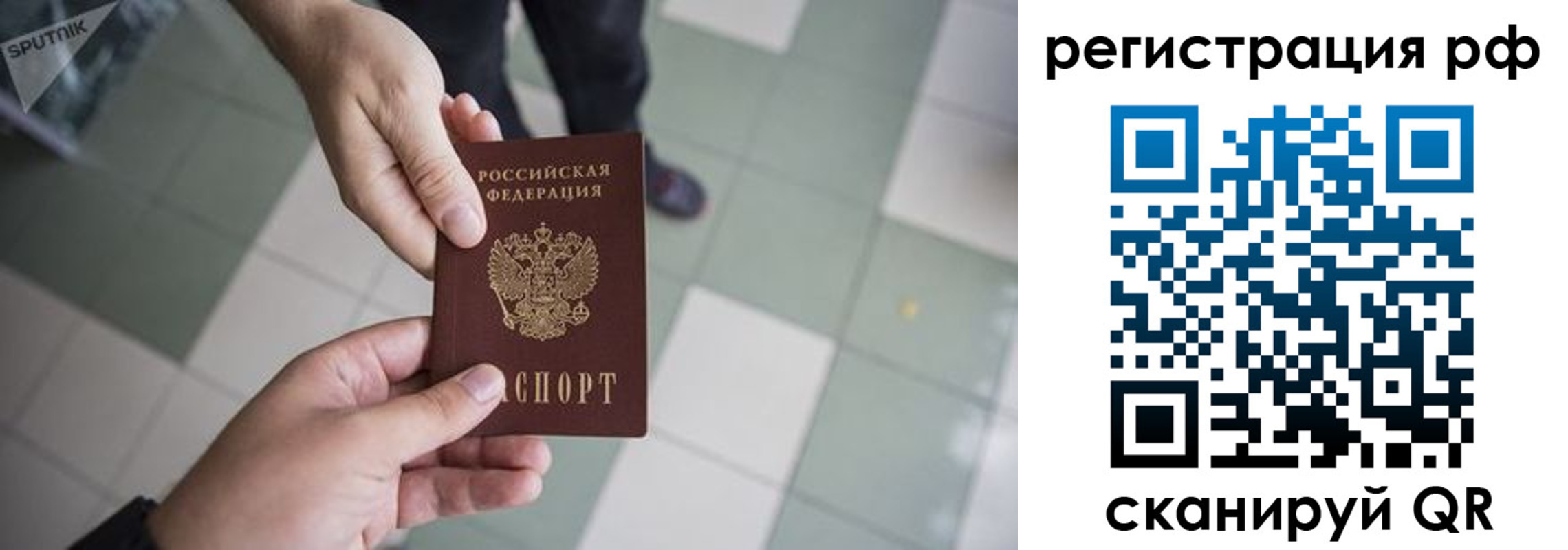 прописка гарантия в Курчатове